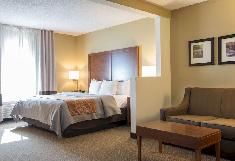 Hotel Comfort Suites Suwanee  | Suwanee | Georgia | United States 14