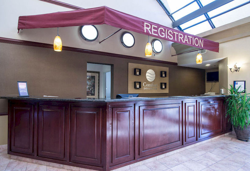 Hotel Comfort Suites Suwanee  | Suwanee | Georgia | United States 16