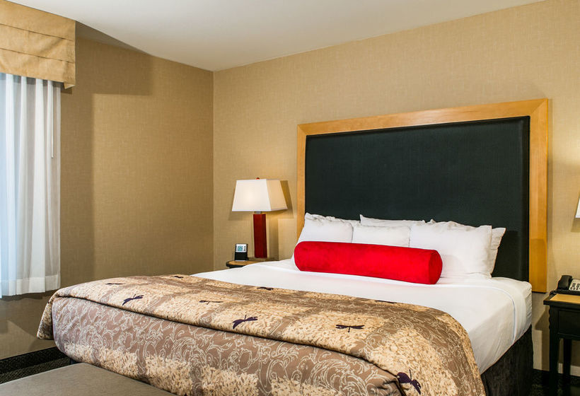Hotel Cambria Suites  | Fort Collins | Colorado | United States 14