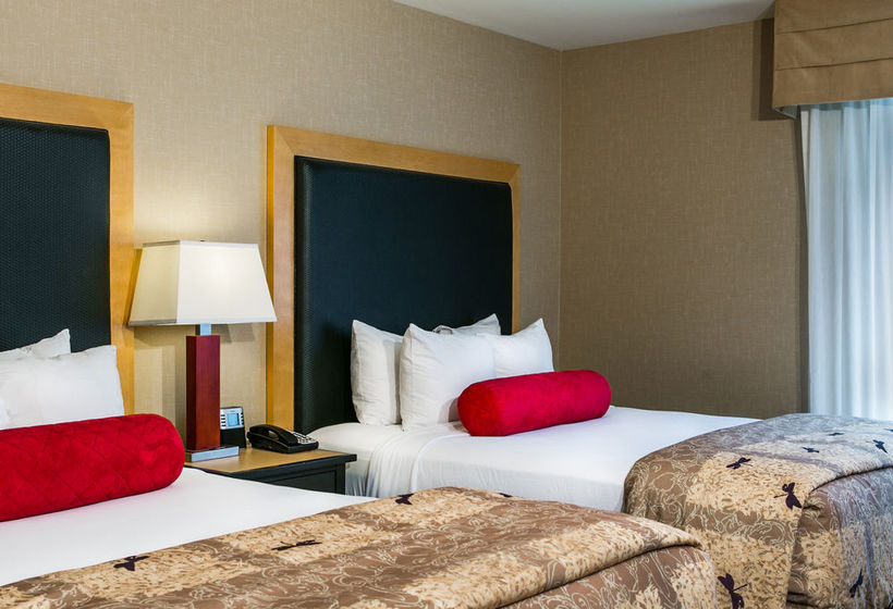 Hotel Cambria Suites  | Fort Collins | Colorado | United States 19