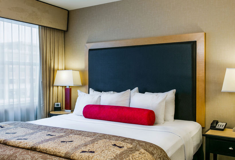 Hotel Cambria Suites  | Fort Collins | Colorado | United States 9