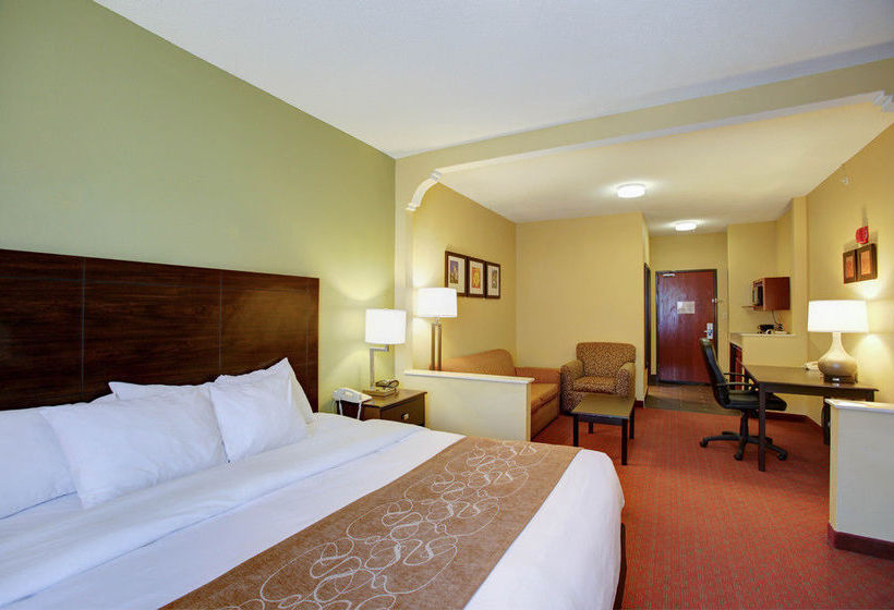Hotel Comfort Suites I-35 North  | Round Rock | Texas | United States 10