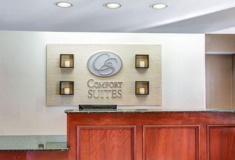 Hotel Comfort Suites I-35 North  | Round Rock | Texas | United States 15