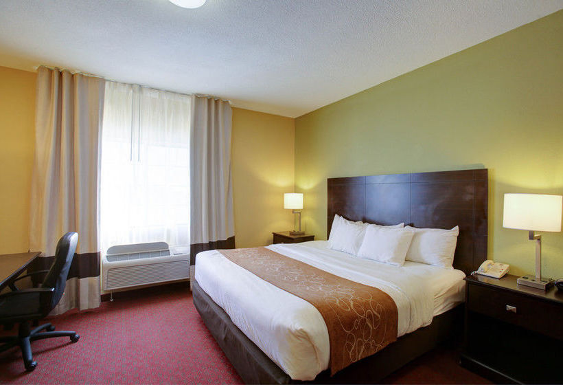 Hotel Comfort Suites I-35 North  | Round Rock | Texas | United States 8