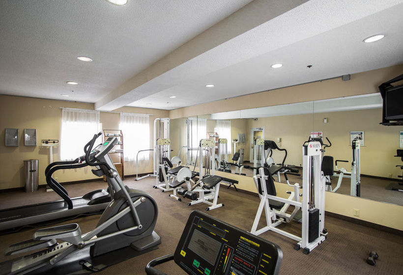 Hotel Sleep Inn Sumter  | Sumter | South Carolina | United States 7