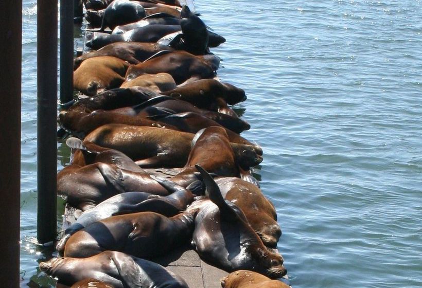 Hotel Comfort Suites Columbia River  | Astoria | Oregon | United States 4