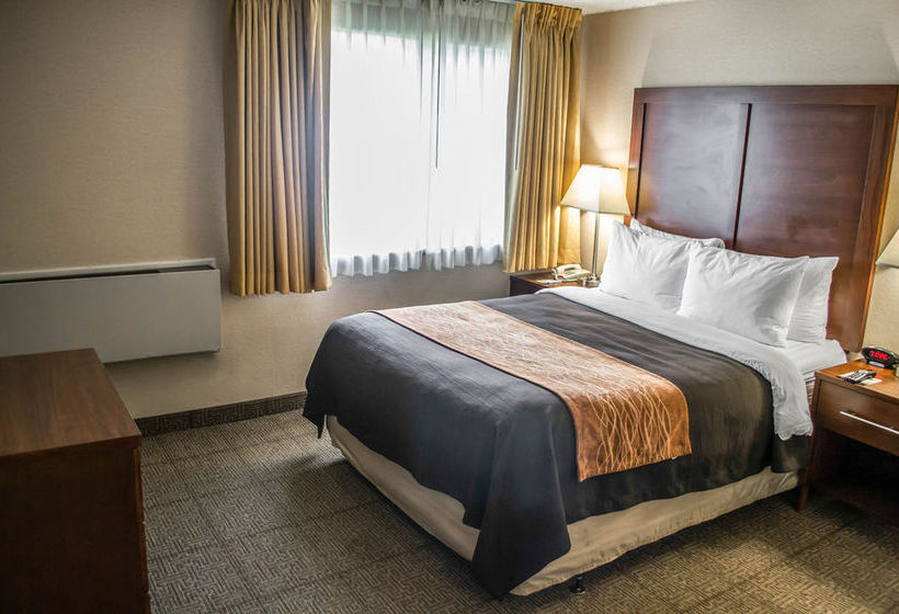 Hotel Comfort Inn & Suites West  | Beaverton | Oregon | Vereinigte Staaten 7