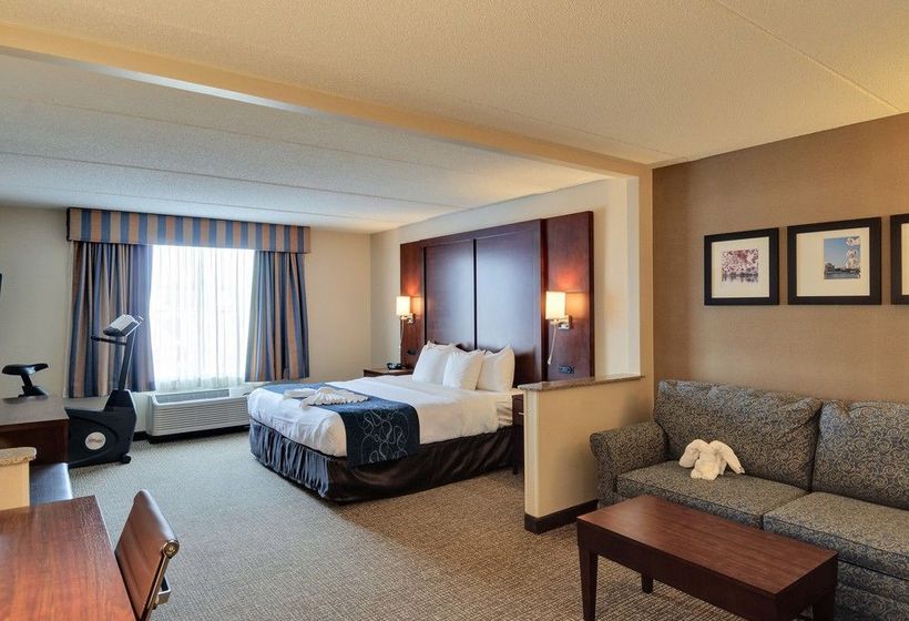 Hotel Comfort Suites Manassas  | Manassas | Virginia | United States 20