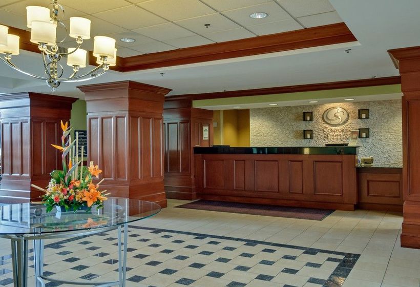 Hotel Comfort Suites Manassas  | Manassas | Virginia | United States 9