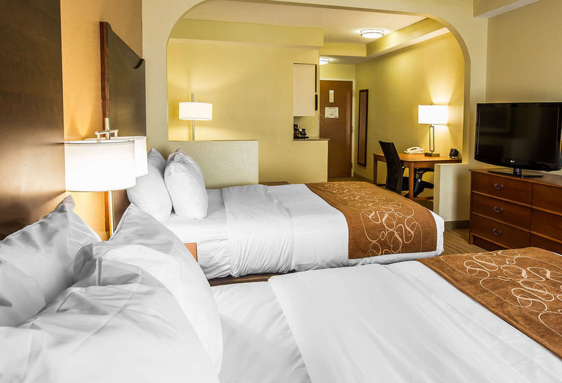 Hotel Comfort Suites Anderson  | Anderson | South Carolina | United States 14