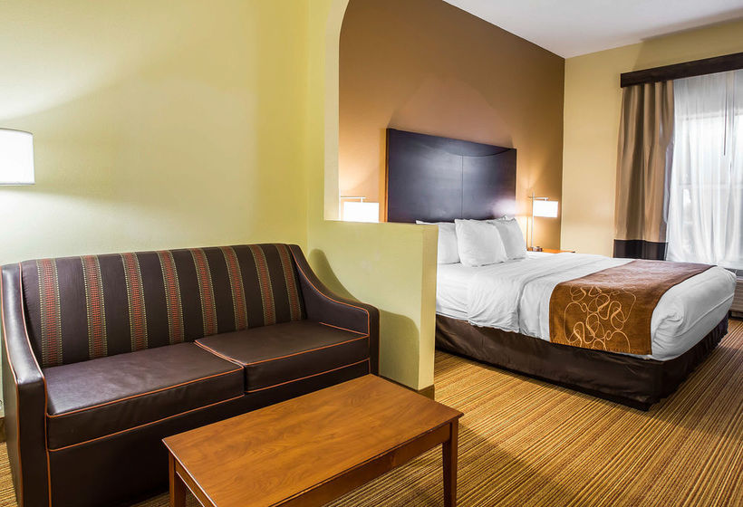 Hotel Comfort Suites Anderson  | Anderson | South Carolina | United States 4