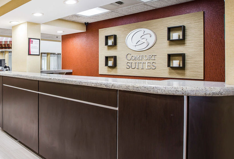 Hotel Comfort Suites Anderson  | Anderson | South Carolina | United States 7