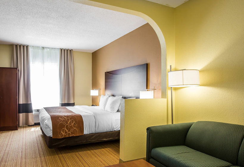 Hotel Comfort Suites Anderson  | Anderson | South Carolina | United States 9