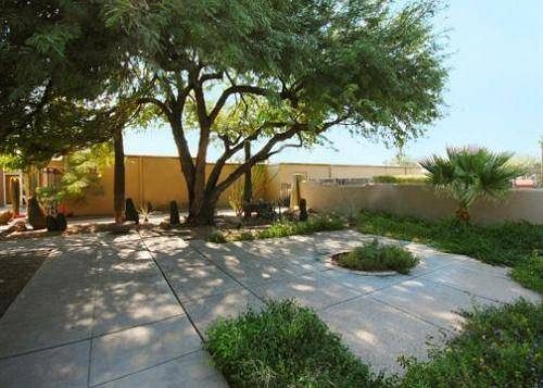 Hotel Quality Inn Tucson  | Tucson | Arizona | United States 10