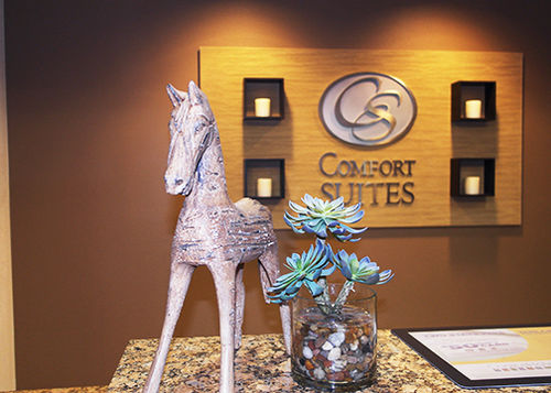 Hotel Comfort Suites Odessa  | Odessa | Texas | United States 7