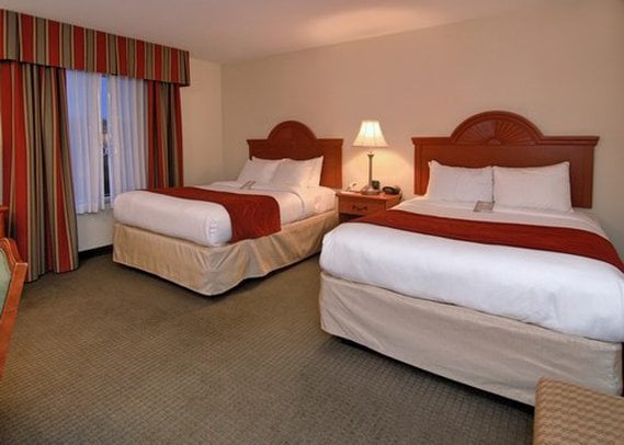 Hotel Comfort Suites Mount Vernon  | Mount Vernon | Illinois | United States 11
