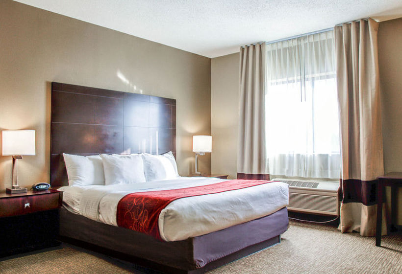 Hotel Comfort Suites Lombard  | Lombard | Illinois | United States 6