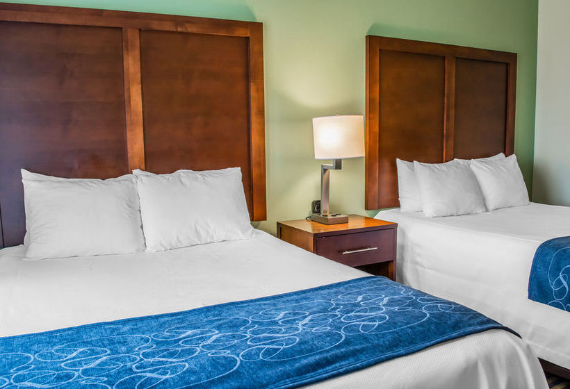 Hotel Comfort Suites Leesburg  | Leesburg | Virginia | United States 15