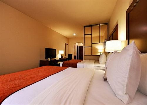 Hotel Comfort Suites Webster  | Webster | Texas | United States 13
