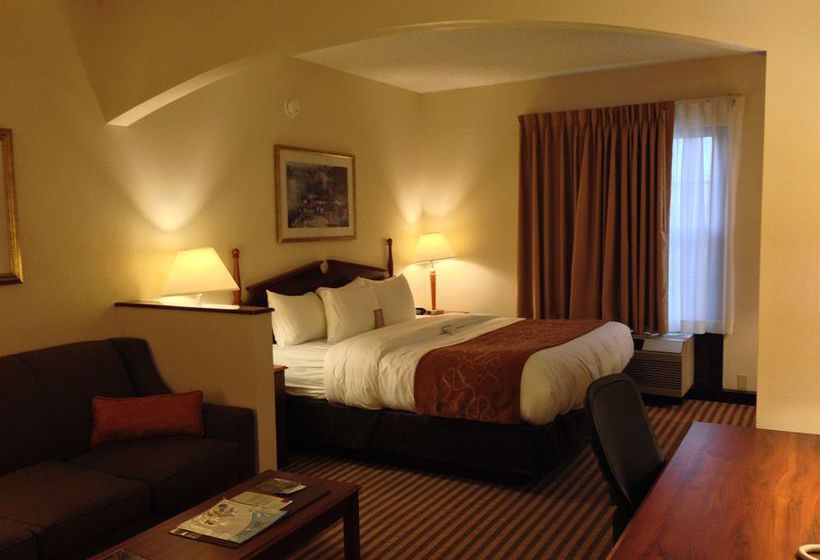 Hotel Comfort Suites State College  | State College | Pennsylvania | United States 14