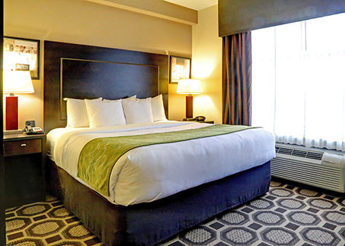 Hotel Comfort Suites Lexington  | Lexington | South Carolina | United States 15