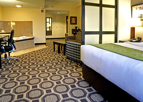 Hotel Comfort Suites Lexington  | Lexington | South Carolina | United States 16