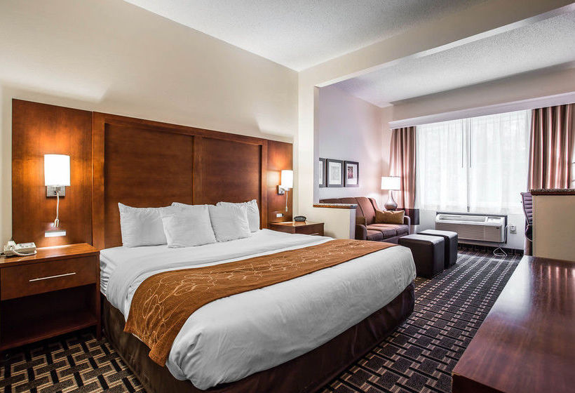 Hotel Comfort Suites Summerville  | Summerville | South Carolina | United States 13
