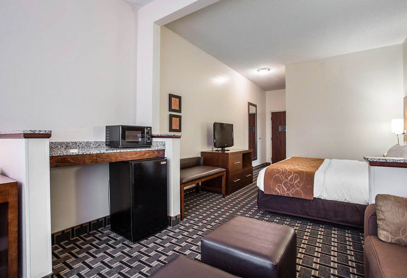 Hotel Comfort Suites Summerville  | Summerville | South Carolina | United States 16