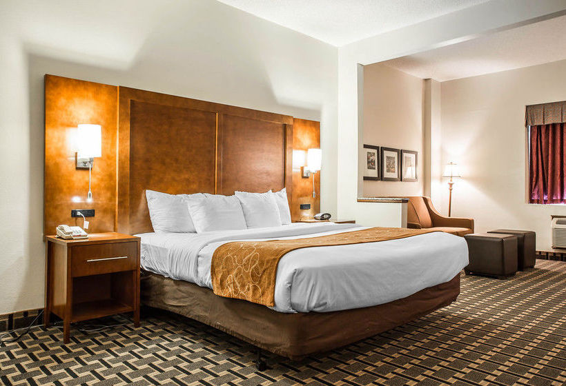 Hotel Comfort Suites Summerville  | Summerville | South Carolina | United States 17