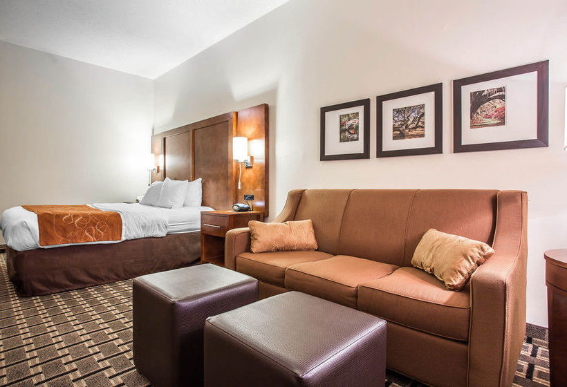 Hotel Comfort Suites Summerville  | Summerville | South Carolina | United States 19