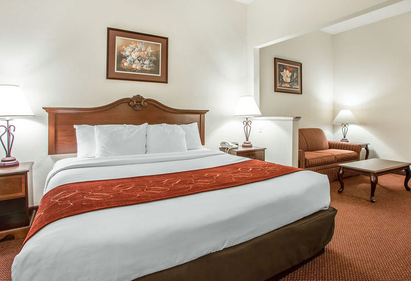 Hotel Comfort Suites  | Jefferson City | Missouri | United States 16