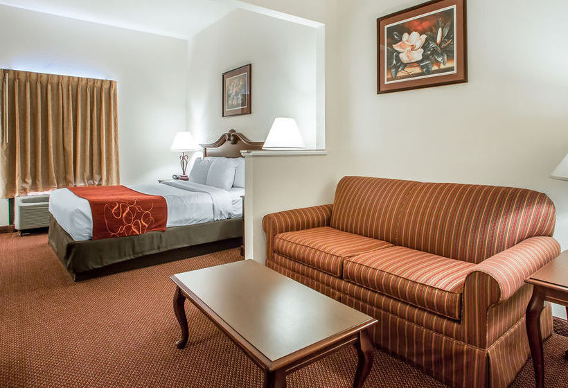 Hotel Comfort Suites  | Jefferson City | Missouri | United States 17