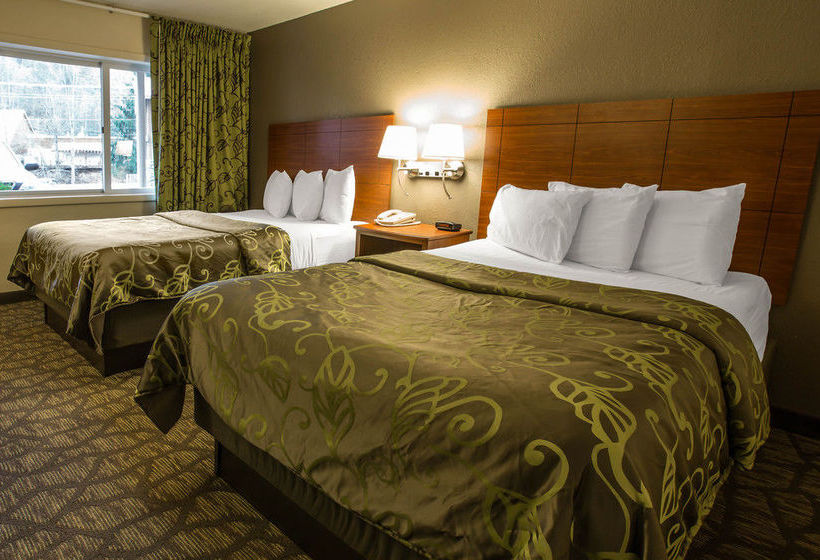 Hotel Econo Lodge Cherokee  | Cherokee | North Carolina | United States 11