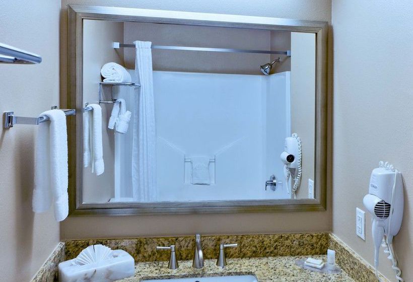 Hotel Hawthorn Suites by Wyndham Addison Galleria 