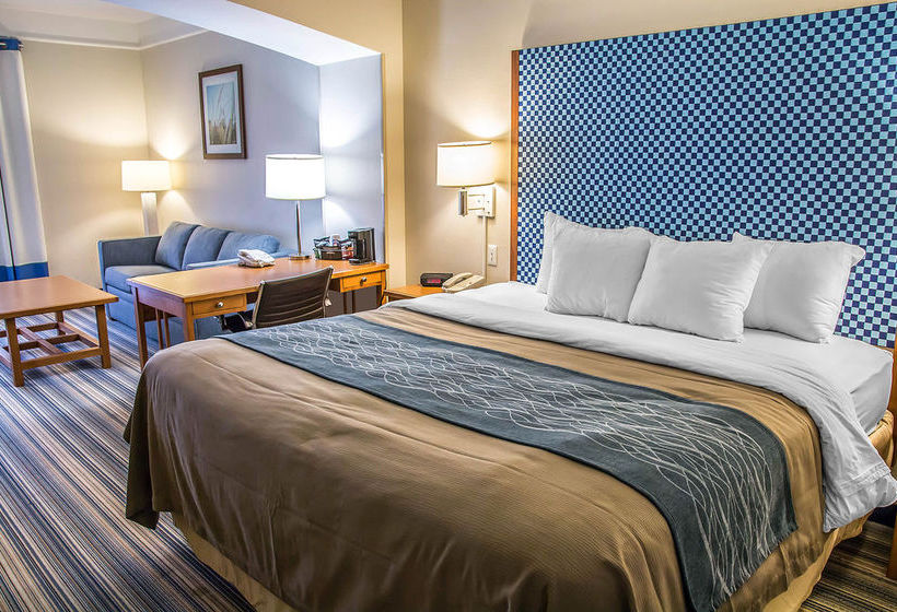 Hotel Comfort Inn & Suites Savannah Airport   | Savannah | Georgia | United States 13