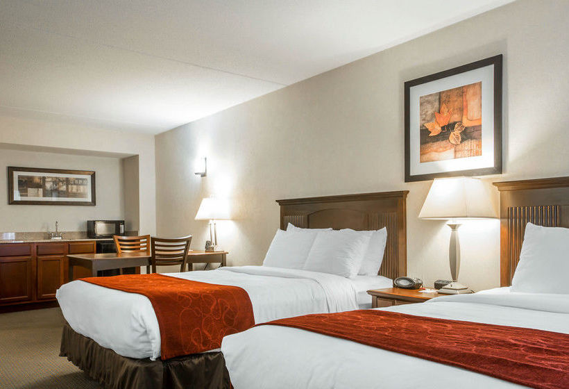 Hotel Comfort Suites South Burlington