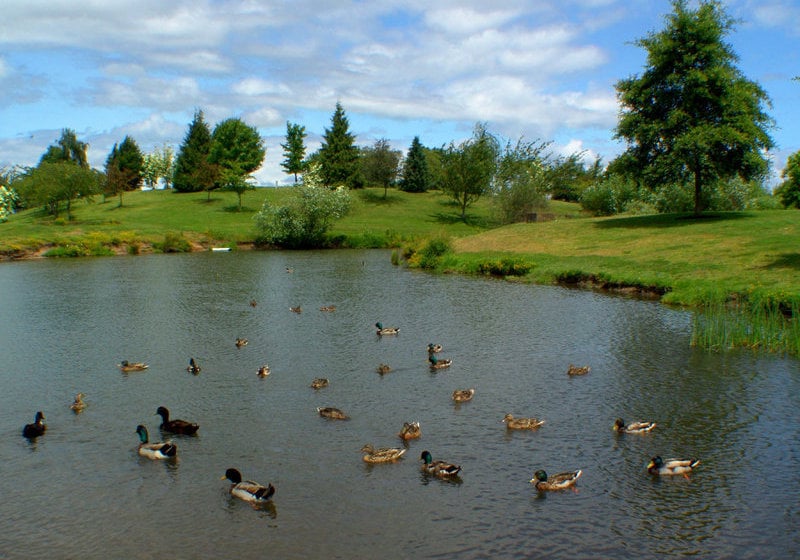 Hotel Econo Lodge Albany  | Albany | Oregon | United States 17