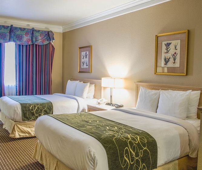 Hotel Comfort Suites Humble  | Humble | Texas | United States 15