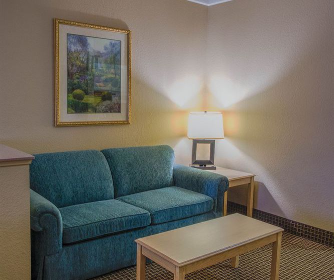 Hotel Comfort Suites Humble  | Humble | Texas | United States 7