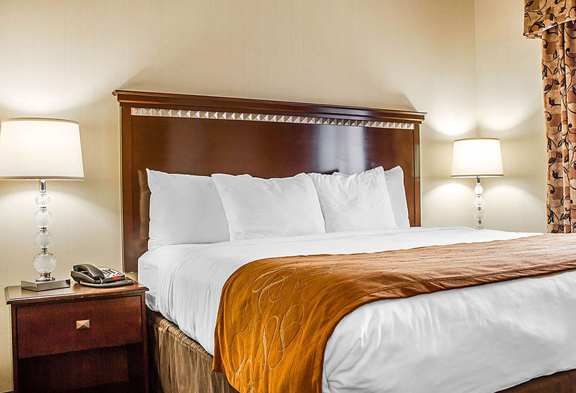 Hotel Comfort Suites Southington  | Southington | Connecticut | United States 15