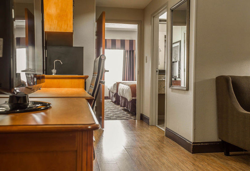 Hotel Comfort Suites At Harbison  | Columbia | South Carolina | United States 7