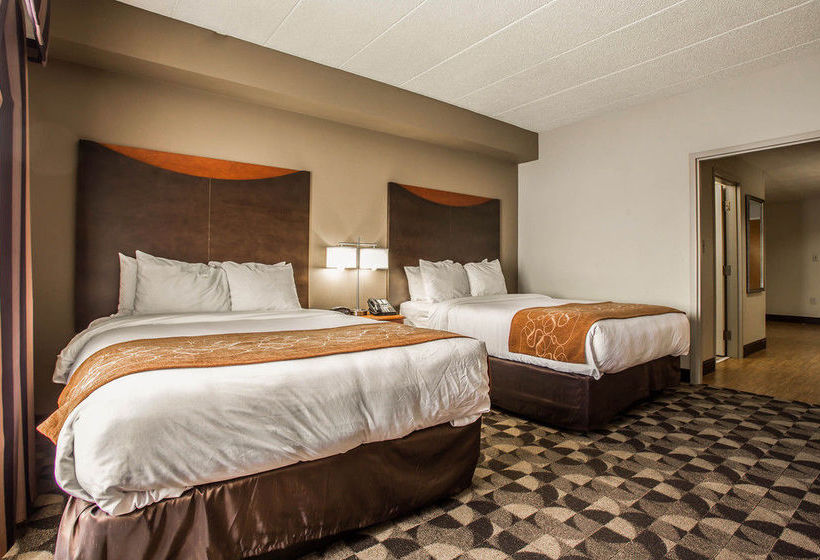 Hotel Comfort Suites At Harbison  | Columbia | South Carolina | United States 8