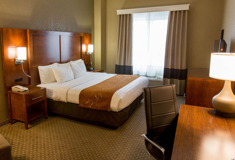 Hotel Comfort Suites South Grand Rapids
