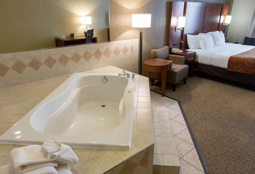 Hotel Comfort Suites South Grand Rapids  | Grand Rapids | Michigan | United States 9