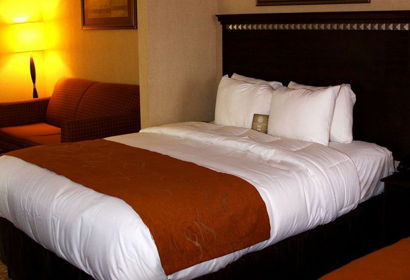 Hotel Comfort Suites Conway  | Conway | Arkansas | United States 10