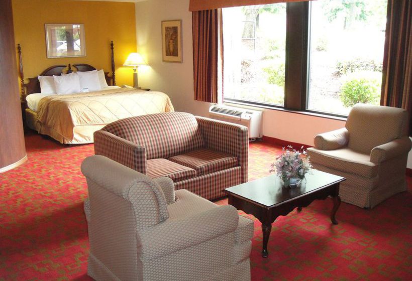 Hotel Comfort Inn Matthews  | Matthews | North Carolina | United States 12