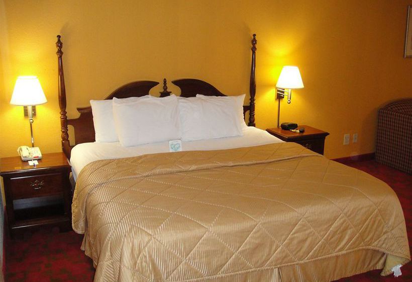 Hotel Comfort Inn Matthews  | Matthews | North Carolina | United States 13