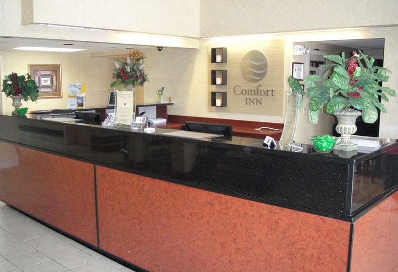 Hotel Comfort Inn Matthews  | Matthews | North Carolina | United States 16