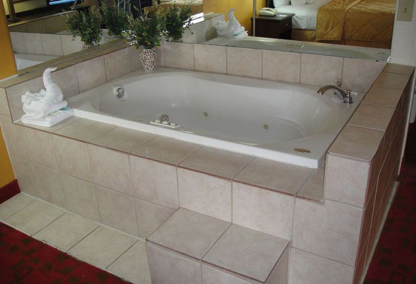 Hotel Comfort Inn Matthews  | Matthews | North Carolina | United States 4