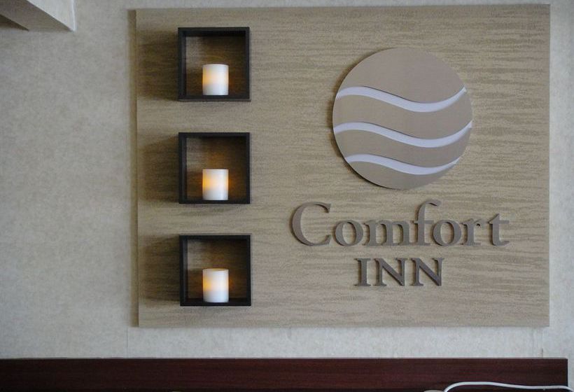 Hotel Comfort Inn Matthews  | Matthews | North Carolina | United States 5